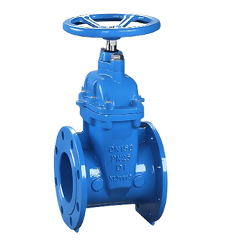 Valve