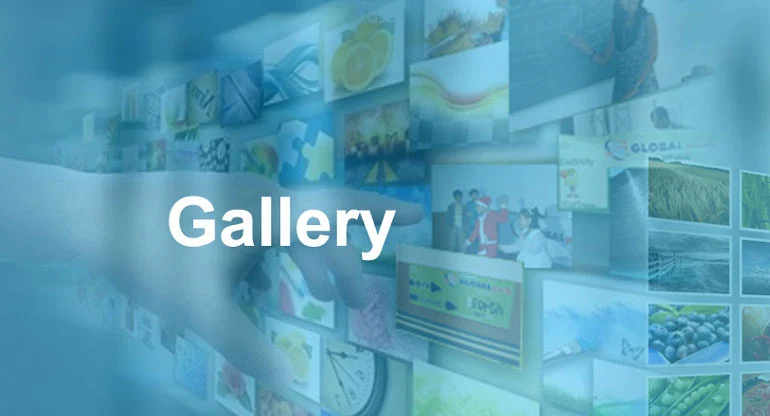 our-gallery